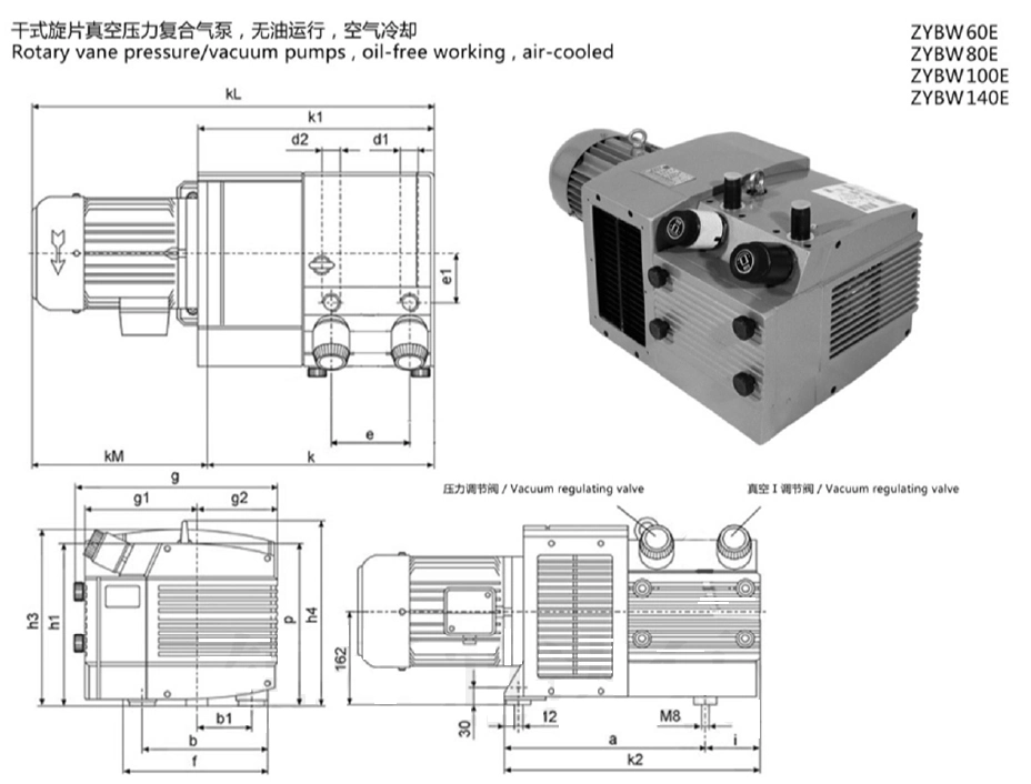 Dry Running Rotary Vane Vacuum Pumps